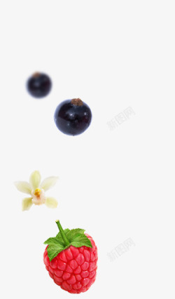 葡萄漂浮素材葡萄植物草莓漂浮高清图片