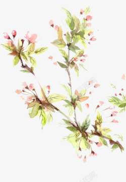 花苞插画素材初春的桃花高清图片