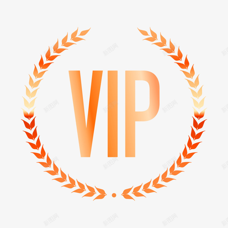 卡通高档VIP标签装饰广告png免抠素材_新图网 https://ixintu.com VIP艺术字 会员标签 创意VIP花纹装饰 淘宝天猫VIP 淘宝天猫VIP模板 金色VIP标签 高档会员标签