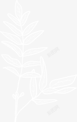 红酒线描画白色植物叶子图案高清图片
