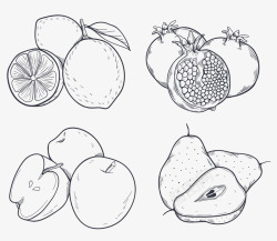 美容梨水果手绘水果线稿矢量图高清图片
