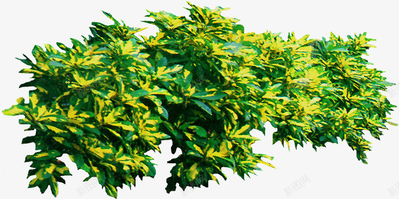 绿色植物背景树木png免抠素材_新图网 https://ixintu.com 树木 植物 自然 花草 鲜花