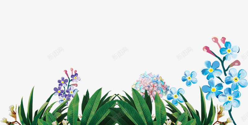 春季绿色的草丛装饰psd免抠素材_新图网 https://ixintu.com 春季 绿色的 绿色的草丛 草丛装饰 蓝色花朵