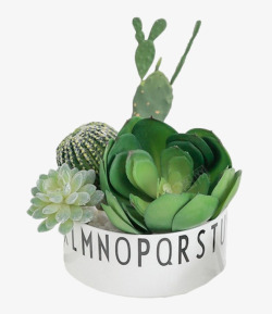 组合现代简约卫浴台组合的植物装饰品高清图片