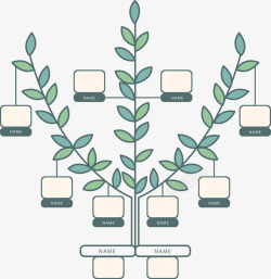 组织结构树树叶分支结构高清图片