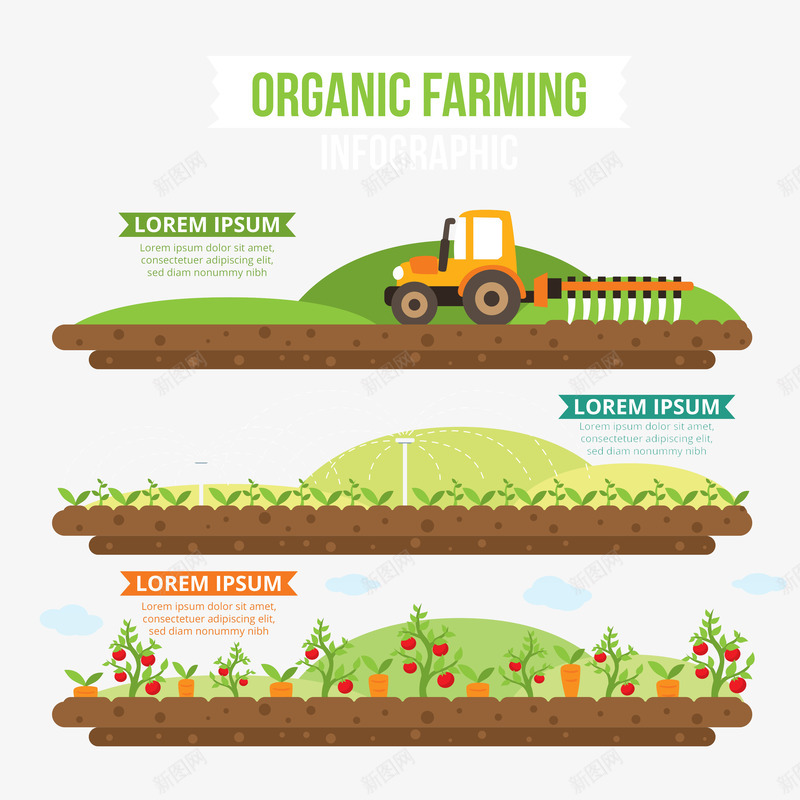有机农业infography平面png免抠素材_新图网 https://ixintu.com 信息 信息图表元素 农场 图 图形 图表 平 数据 有机 植物 模板 流程 环境 生态 自然 蔬菜 要素 设计