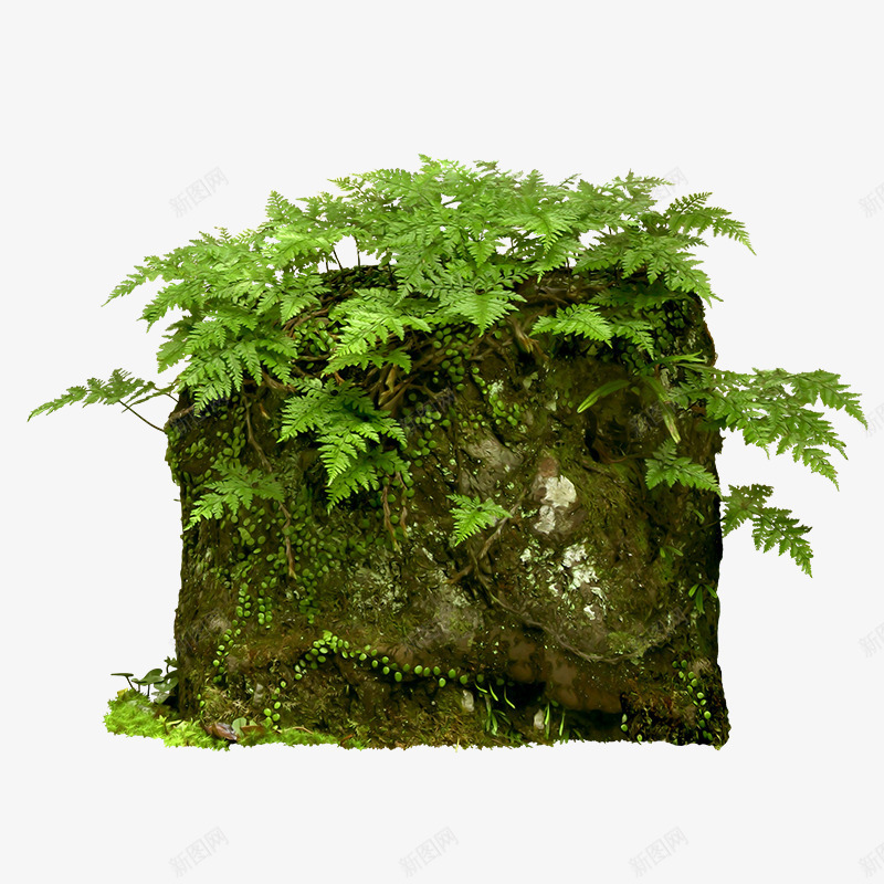 绿色青苔石块元素png免抠素材_新图网 https://ixintu.com 光泽 树叶 环境 纹理 绿色 自然 质感 青苔