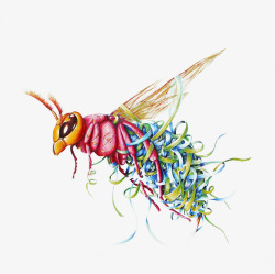蓝紫色螃蟹创意插画小蜜蜂插画高清图片