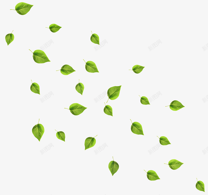 飘动的绿色树叶png免抠素材_新图网 https://ixintu.com 树叶 植物 漂浮