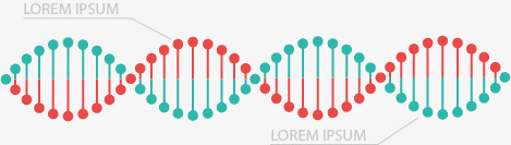 基因序列信息表png免抠素材_新图网 https://ixintu.com PPT 信息 商务 图表 多彩 扭曲 示意图 线条 统计 说明