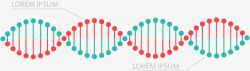 基因序列信息表素材