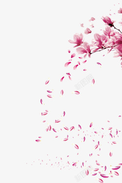 玉兰花粉色漂浮的玉兰花瓣高清图片