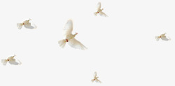 成群大雁白色成群飞翔大雁高清图片