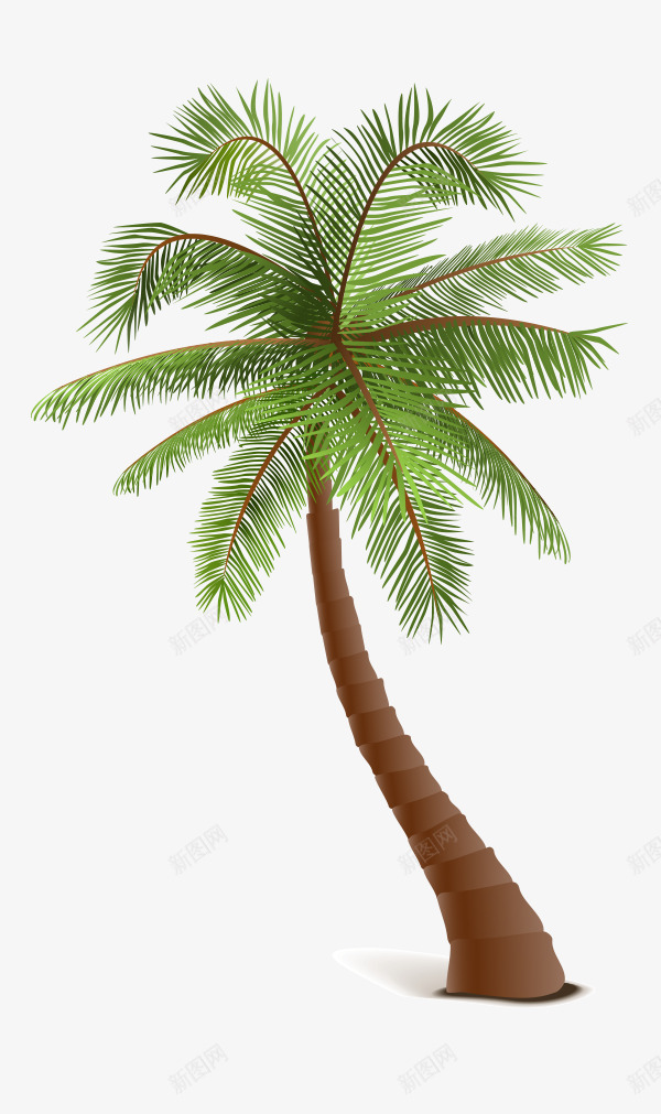 椰子树png免抠素材_新图网 https://ixintu.com 俯视椰子树 夏天 旅游 椰子 椰子树 海滩 海边