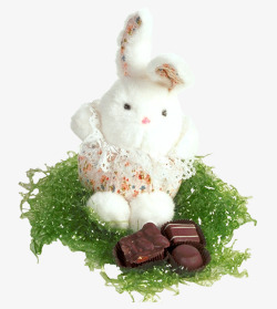 小白兔点心小白兔巧克力礼物高清图片