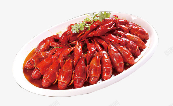 澳龙png免抠素材_新图网 https://ixintu.com 海鲜 澳龙 美味食品 虾 龙虾