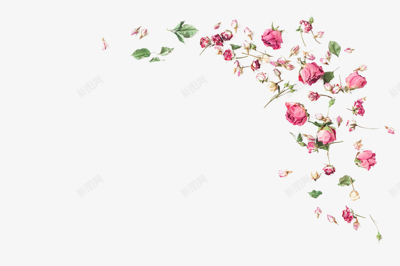 粉色碎花装饰图案png免抠素材_新图网 https://ixintu.com 创意设计 春天 春季 碎花 粉色 花朵 花瓣 装饰图案
