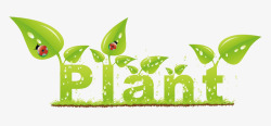 plantplant小绿芽高清图片