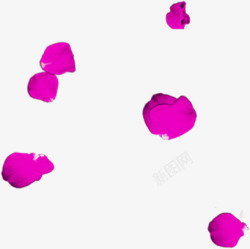 紫色浪漫花瓣玫瑰情人节素材