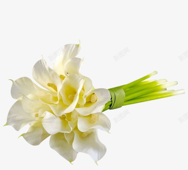 一束铃兰png免抠素材_新图网 https://ixintu.com 好看 实物 白色 花朵