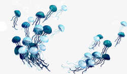 海底世界水母蓝色水母高清图片