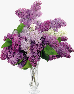 紫花花束花瓶高清图片