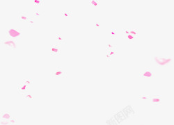 粉色花瓣碎纸漂浮素材