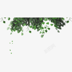 绿色植物小叶子绿色叶片高清图片