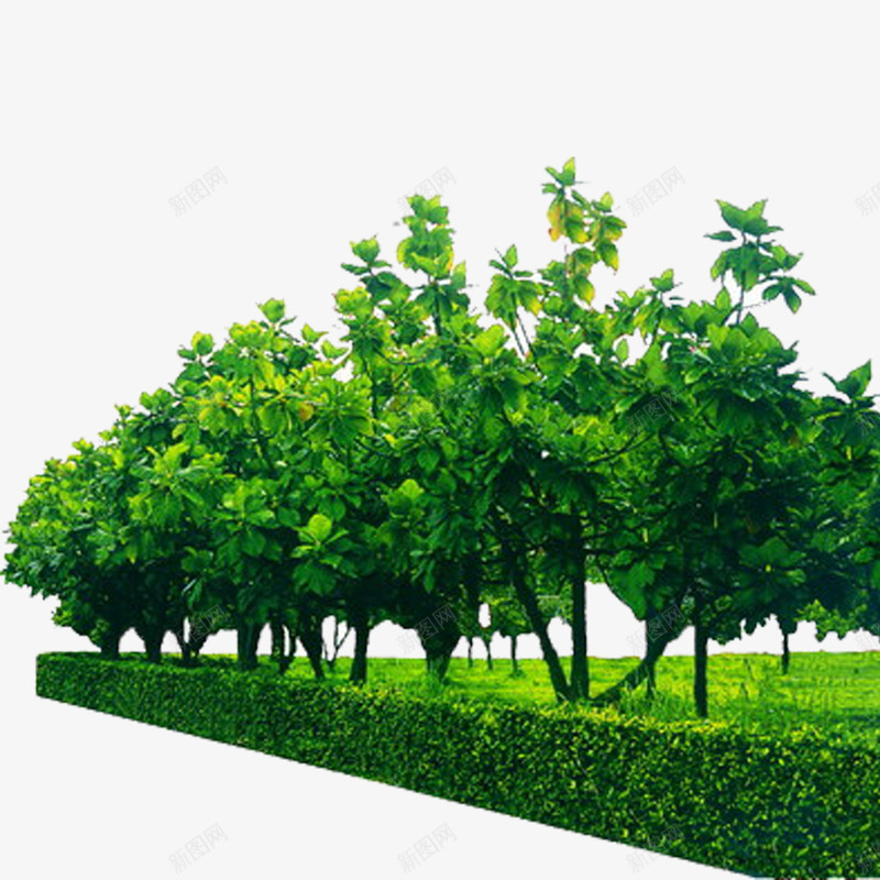 平面树木丛png免抠素材_新图网 https://ixintu.com 净化环境 平面 平面灌木 整齐 景观树木丛 绿化带 美化环境