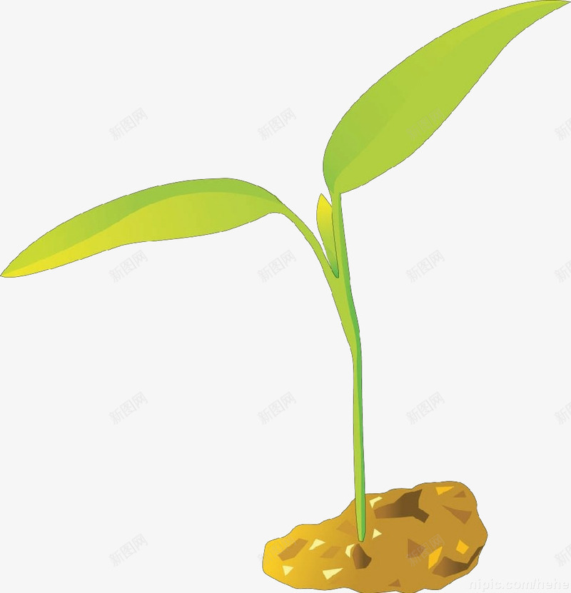 小绿芽长在土壤png免抠素材_新图网 https://ixintu.com 初春的力量 土壤 嫩绿 嫩绿的小芽 小绿芽 活力 生长 绿色 青春