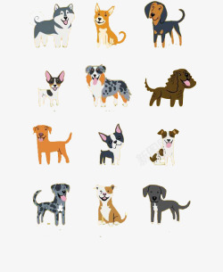 十二个十二个小狗狗高清图片
