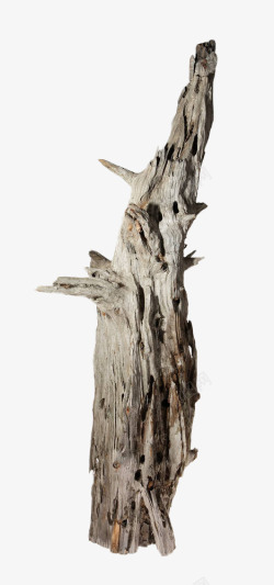 干枯树干灰白干枯的老树根高清图片