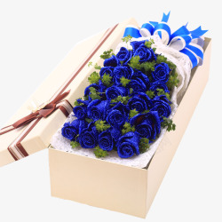 高档的蓝色玫瑰礼物素材