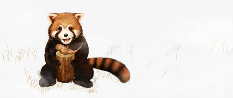 抱着木头的小熊猫png免抠素材_新图网 https://ixintu.com 小熊猫 木桩 草地 蝾螈