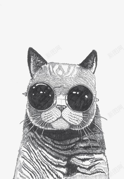 墨镜猫咪png免抠素材_新图网 https://ixintu.com 卡通猫咪 填色练习 宠物猫 手绘猫咪 黑白猫咪 黑色墨镜