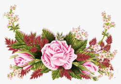 水珠玫瑰花背景图片复古唯美花卉高清图片