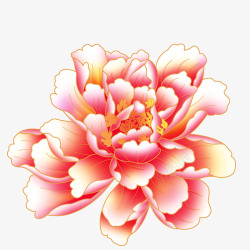 盛开的牡丹花粉色盛开的牡丹花高清图片
