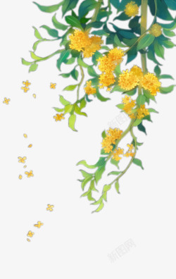 黄色花瓣素材手绘桂花高清图片