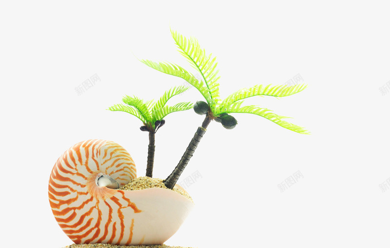 海螺和椰树png免抠素材_新图网 https://ixintu.com 椰树 沙子 海洋 海螺