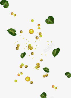 绿色树叶水果漂浮素材