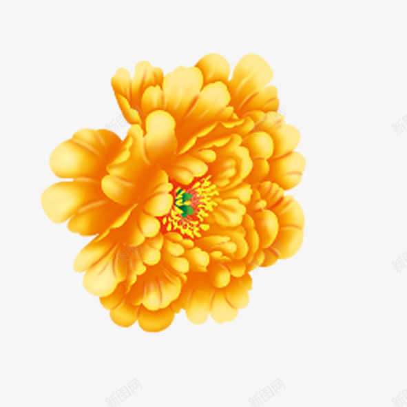 黄色花朵png免抠素材_新图网 https://ixintu.com 花朵 花瓣 花蕊 金色 黄色