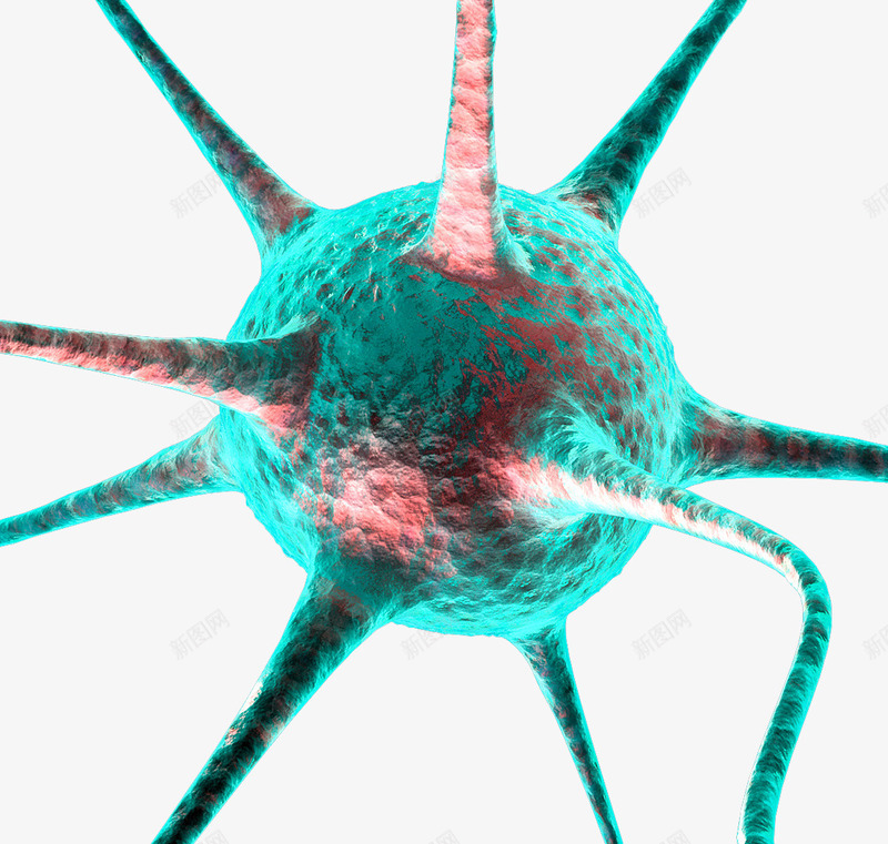 细胞分裂生物插图png免抠素材_新图网 https://ixintu.com 生命奥秘 生物插图 生物科技 细胞分裂 细胞增殖 蓝色科技