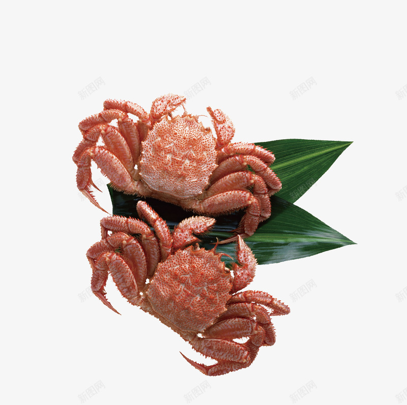 螃蟹png免抠素材_新图网 https://ixintu.com 海鲜 螃蟹 蟹黄 食品 饮食