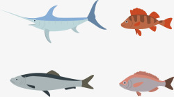 海洋物种金枪鱼类矢量图高清图片