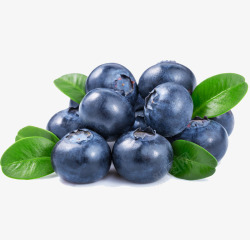 蓝色蓝莓蓝莓高清图片