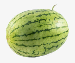 绿色西瓜瓜藤新鲜花皮西瓜高清图片