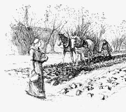黑白的马车在农田里的农夫看望赶着马车拉犁高清图片