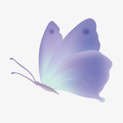 装饰画紫色紫色科幻的小蝴蝶高清图片