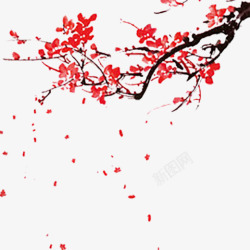 梅兰竹菊素材梅花盛开的飘落的梅花高清图片