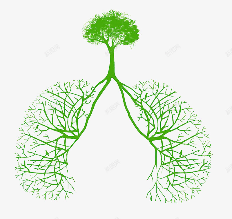 树根和肺png免抠素材_新图网 https://ixintu.com 卡通 手绘 植树节 绿树肺形